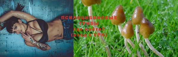 эйфоретик Белоозёрский